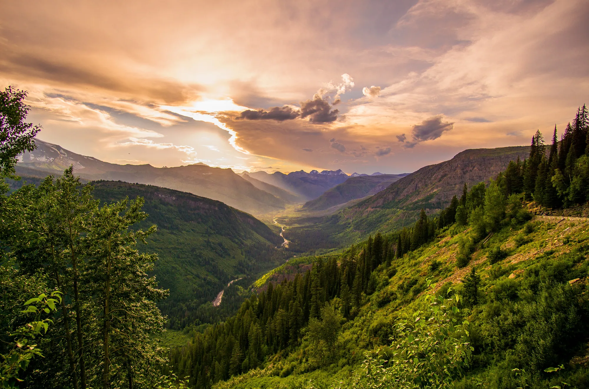The valley below Going-to-the-Sun Road at golden hour