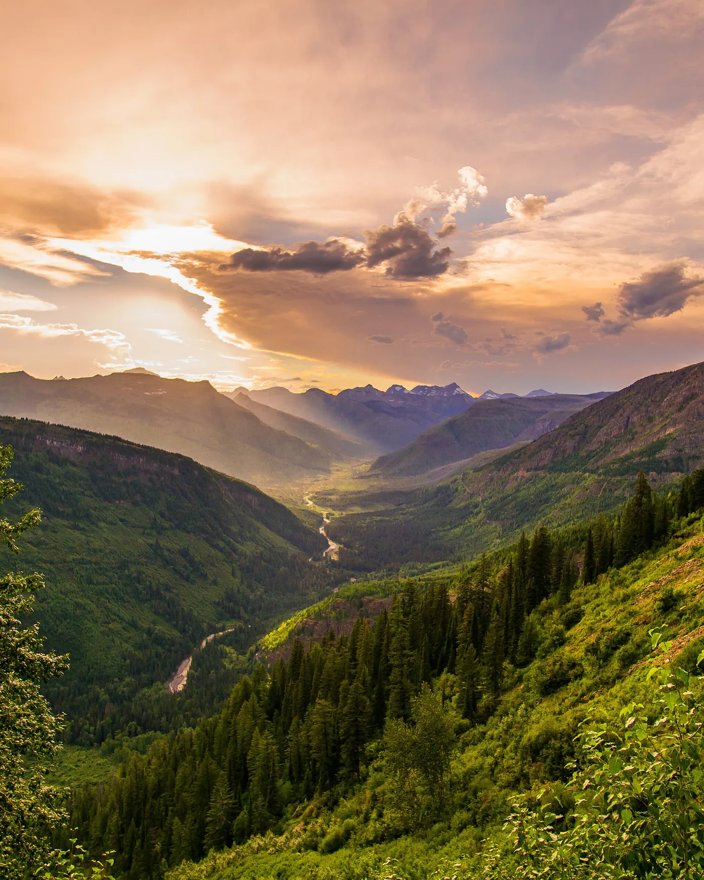 Low sun flaring over a green valley in the mountains west of Glacier on a summer evening