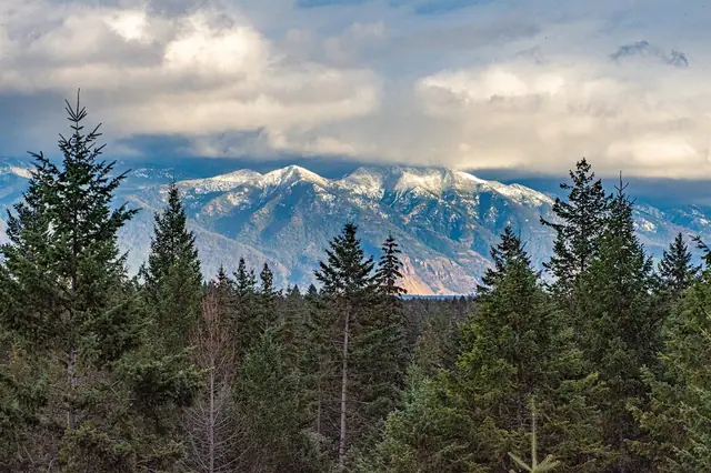 You'll wake up to this range every morning — snow-capped peaks rolling out past the evergreens, no other buildings in sight.